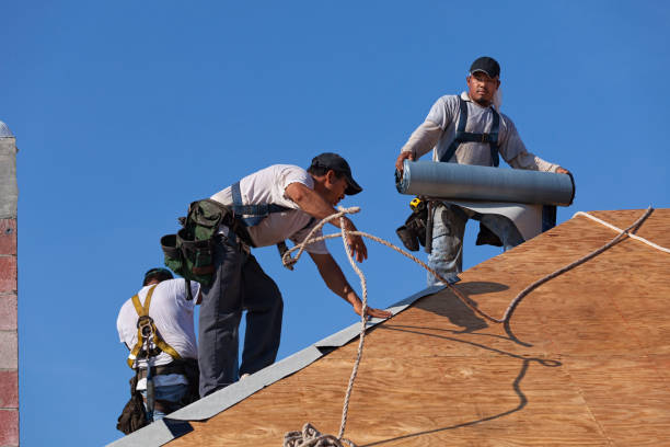 Best Commercial Roofing Services  in Diand, MO