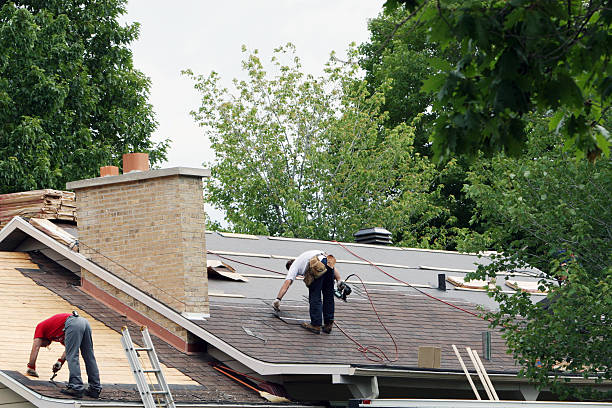 Best Roof Maintenance Services  in Diand, MO