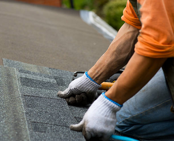 Best Roof Leak Repair  in Diand, MO