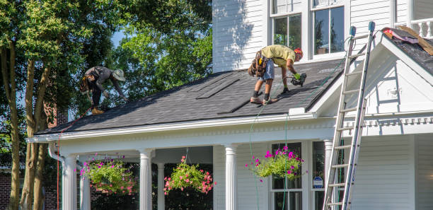 Best Roof Gutter Cleaning  in Diand, MO